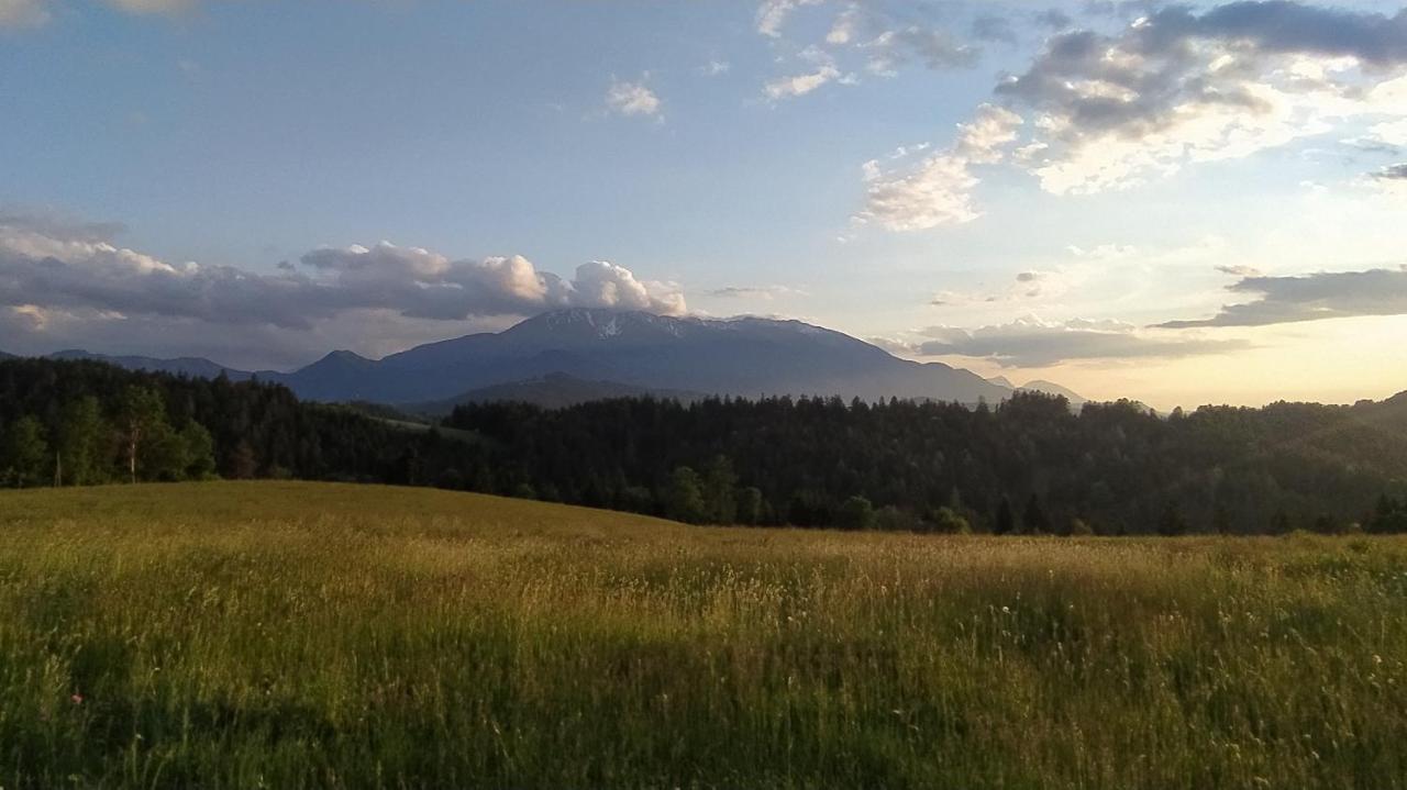 Kmetija Pecnik Apartment Prevalje Екстериор снимка
