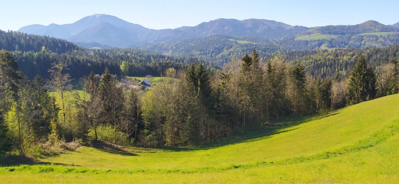 Kmetija Pecnik Apartment Prevalje Екстериор снимка