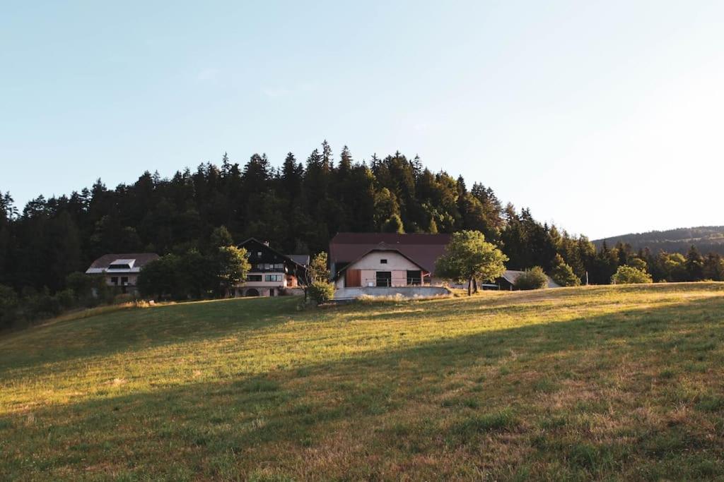 Kmetija Pecnik Apartment Prevalje Екстериор снимка