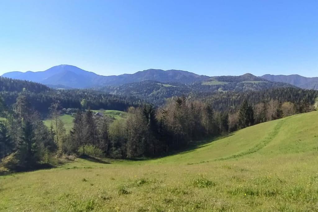 Kmetija Pecnik Apartment Prevalje Екстериор снимка